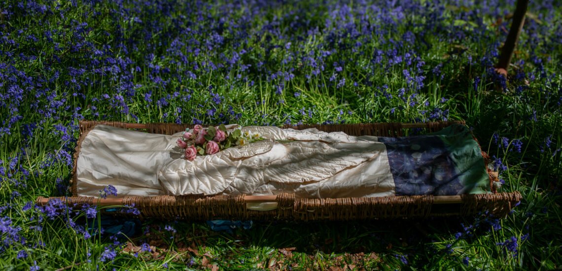 WhiteWings_Bluebells1 (1)